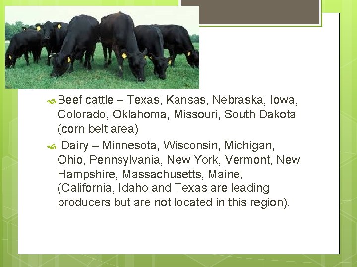  Beef cattle – Texas, Kansas, Nebraska, Iowa, Colorado, Oklahoma, Missouri, South Dakota (corn