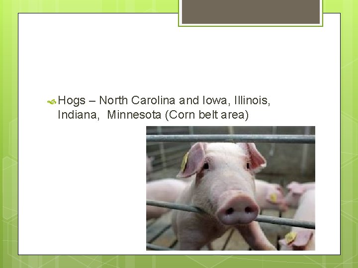  Hogs – North Carolina and Iowa, Illinois, Indiana, Minnesota (Corn belt area) 