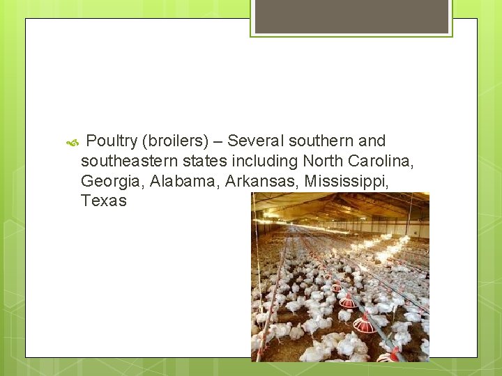  Poultry (broilers) – Several southern and southeastern states including North Carolina, Georgia, Alabama,