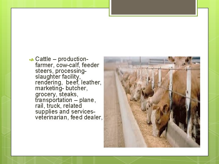  Cattle – productionfarmer, cow-calf, feeder steers, processingslaughter facility, rendering, beef, leather, marketing- butcher,