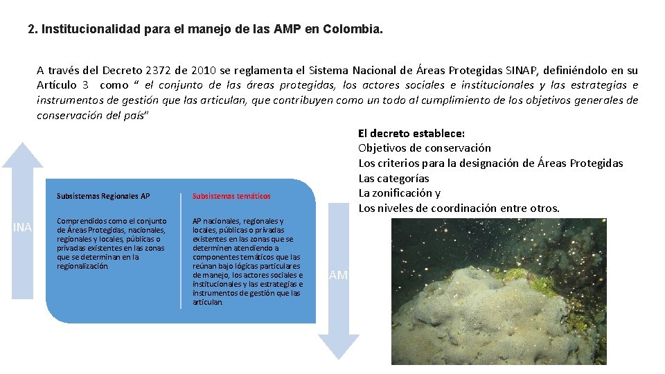 2. Institucionalidad para el manejo de las AMP en Colombia. A través del Decreto