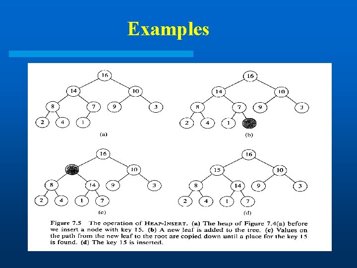 Examples Examples