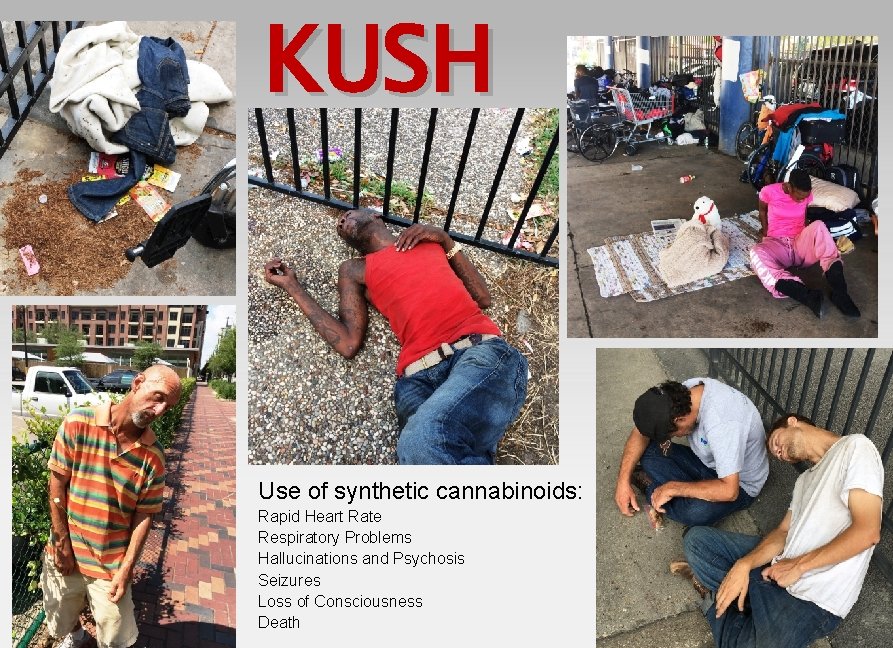 KUSH Use of synthetic cannabinoids: Rapid Heart Rate Respiratory Problems Hallucinations and Psychosis Seizures