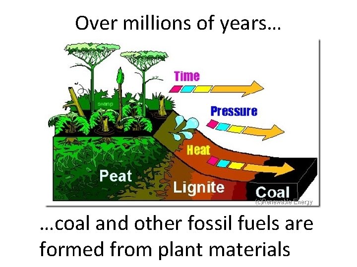 Over millions of years… …coal and other fossil fuels are formed from plant materials