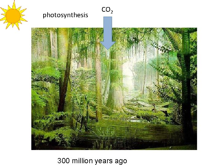 photosynthesis CO 2 300 million years ago 