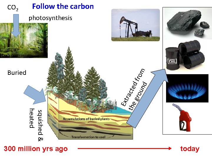 CO 2 Follow the carbon Buried squished & heated 300 million yrs ago Ext