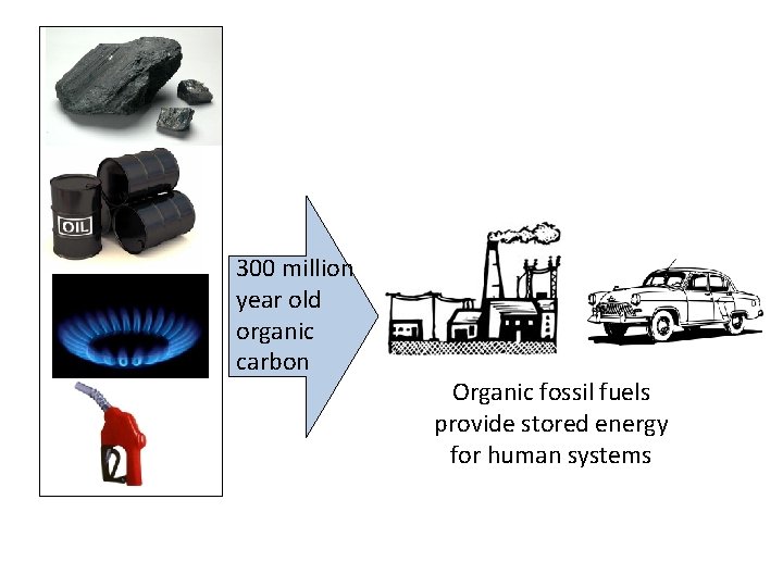 300 million year old organic carbon Organic fossil fuels provide stored energy for human