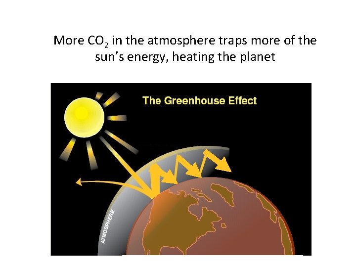 More CO 2 in the atmosphere traps more of the sun’s energy, heating the