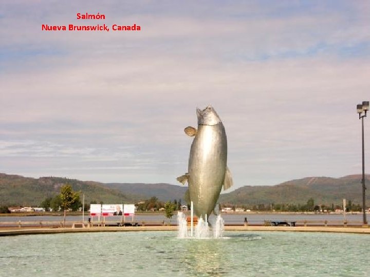 Salmón Nueva Brunswick, Canada 