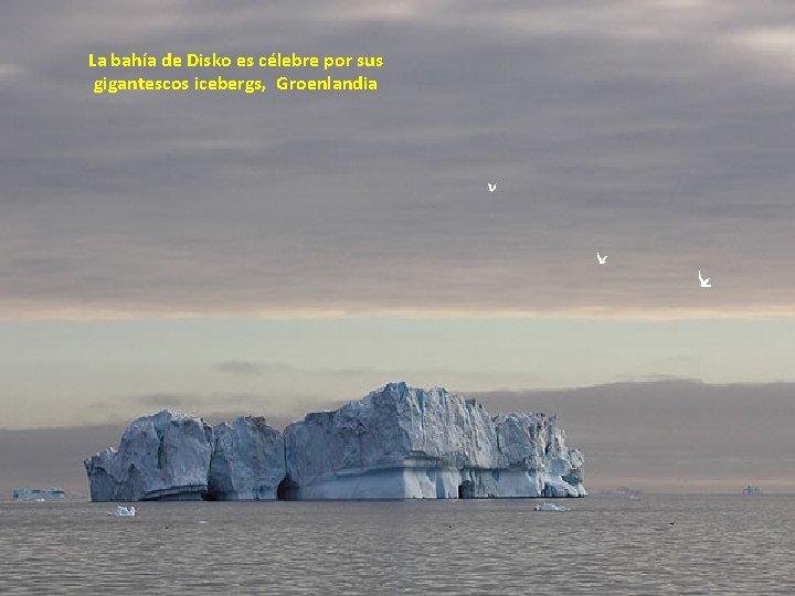 La bahía de Disko es célebre por sus gigantescos icebergs, Groenlandia 