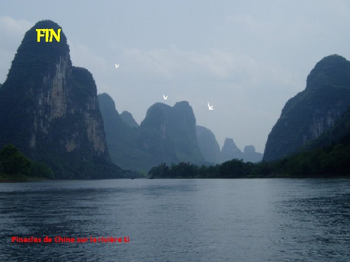FIN Pinacles de Chine sur la rivière Li 