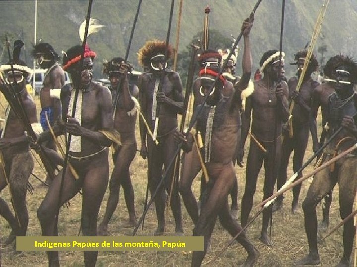 Indígenas Papúes de las montaña, Papúa 