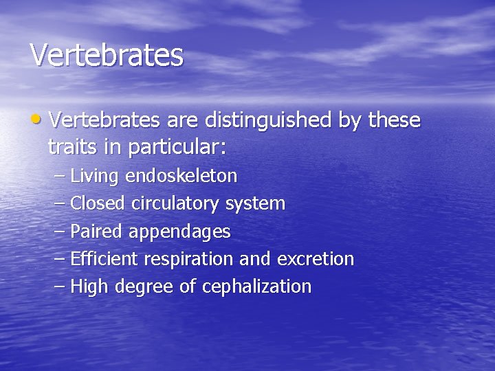 Vertebrates • Vertebrates are distinguished by these traits in particular: – Living endoskeleton –