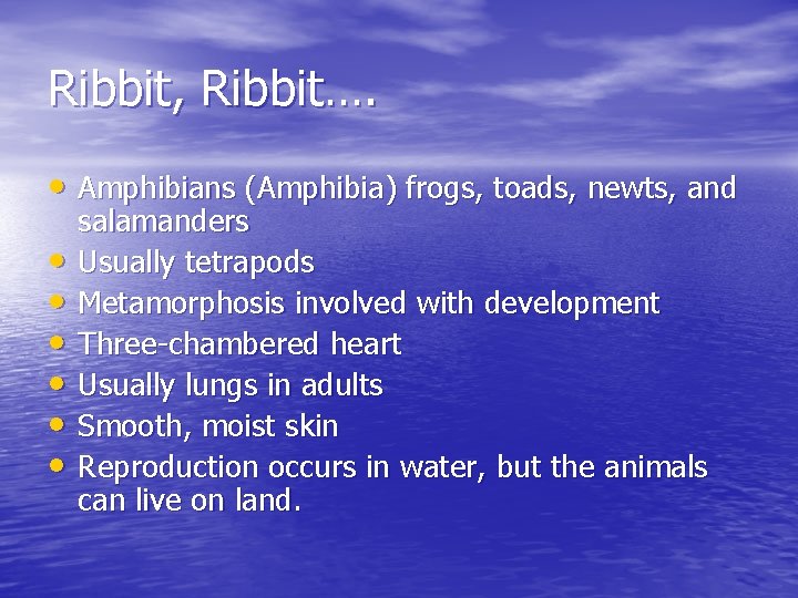 Ribbit, Ribbit…. • Amphibians (Amphibia) frogs, toads, newts, and • • • salamanders Usually