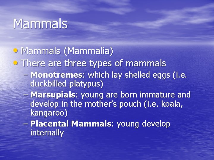 Mammals • Mammals (Mammalia) • There are three types of mammals – Monotremes: which