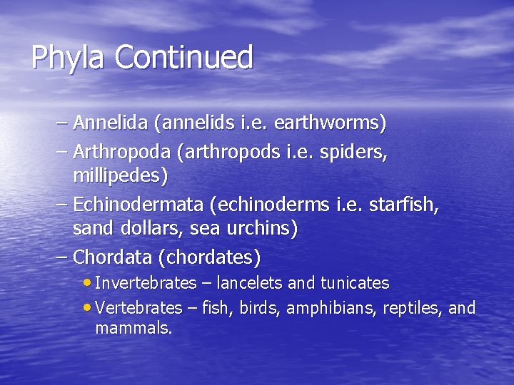 Phyla Continued – Annelida (annelids i. e. earthworms) – Arthropoda (arthropods i. e. spiders,