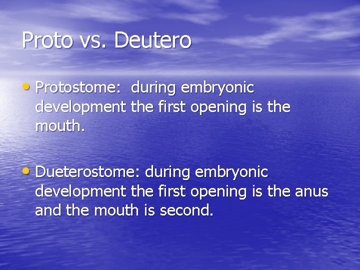 Proto vs. Deutero • Protostome: during embryonic development the first opening is the mouth.