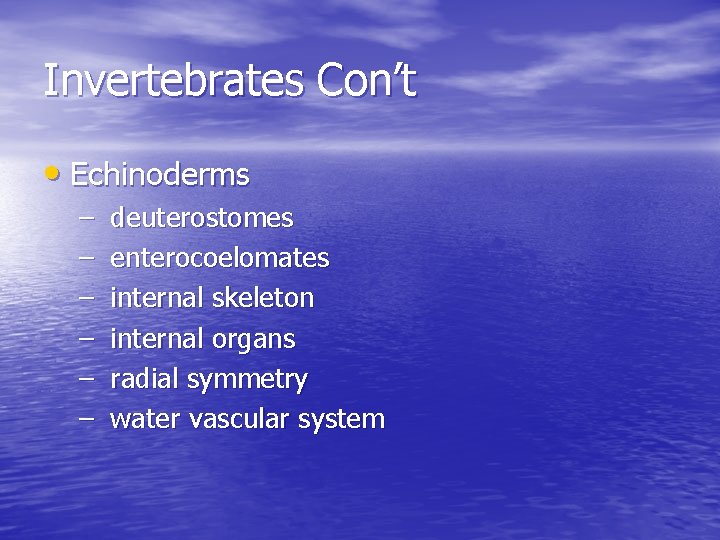 Invertebrates Con’t • Echinoderms – – – deuterostomes enterocoelomates internal skeleton internal organs radial