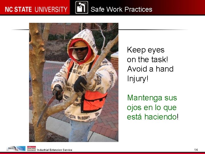 Safe Work Practices Keep eyes on the task! Avoid a hand Injury! Mantenga sus