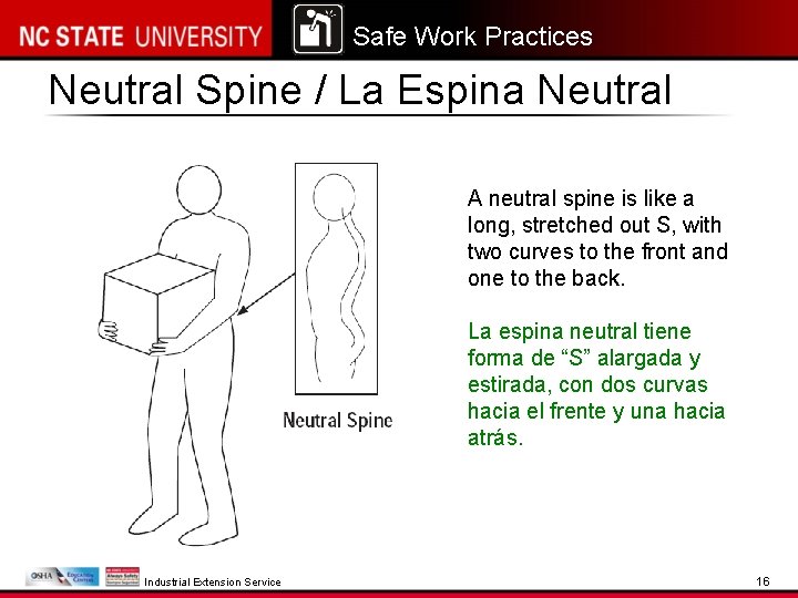 Safe Work Practices Neutral Spine / La Espina Neutral A neutral spine is like