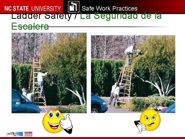 Safe Work Practices Ladder Safety / La Seguridad de la Escalera 