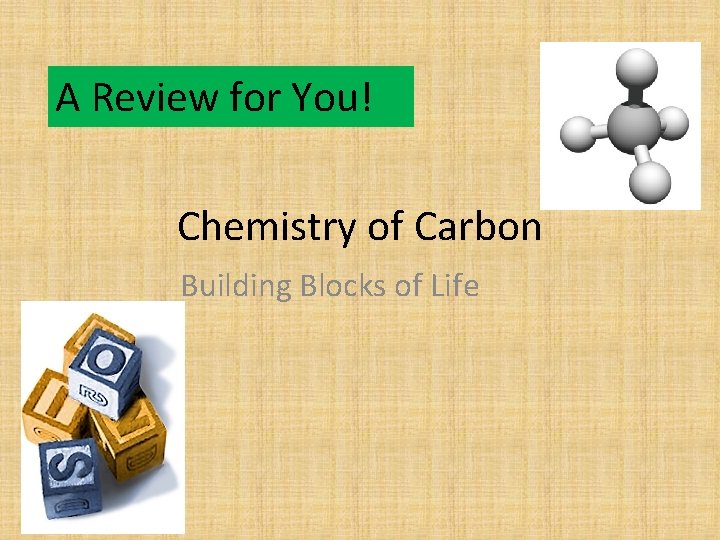 A Review for You! Chemistry of Carbon Building Blocks of Life 2007 -2008 