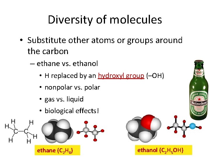 Diversity of molecules • Substitute other atoms or groups around the carbon – ethane