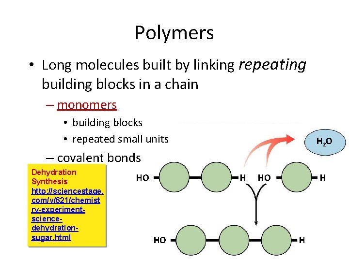 Polymers • Long molecules built by linking repeating building blocks in a chain –
