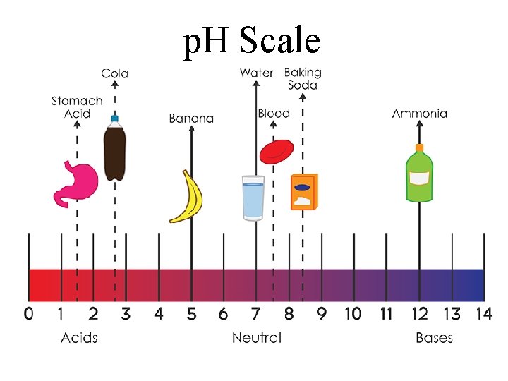 p. H Scale 