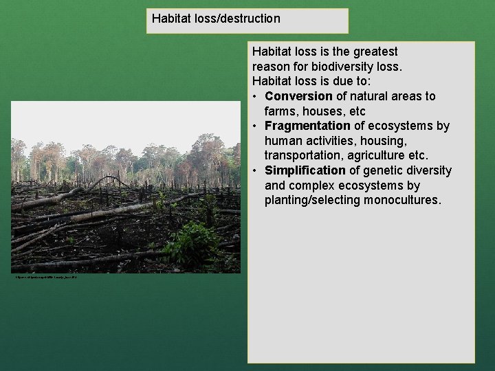 BIODIVERSITY An introduction to biodiversity Origins of word
