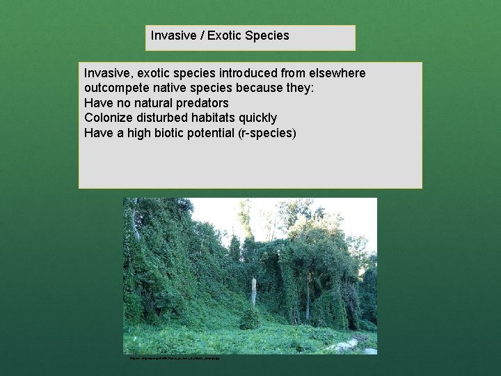 Invasive / Exotic Species Invasive, exotic species introduced from elsewhere outcompete native species because