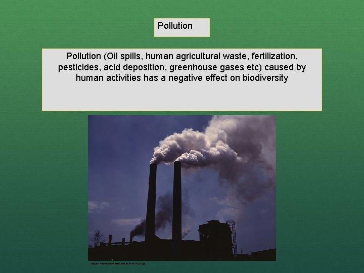 Pollution (Oil spills, human agricultural waste, fertilization, pesticides, acid deposition, greenhouse gases etc) caused