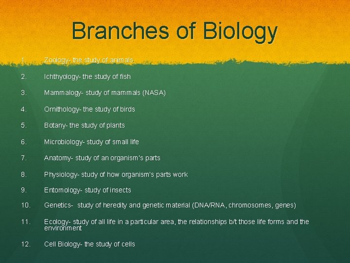 Branches of Biology 1. Zoology- the study of animals 2. Ichthyology- the study of