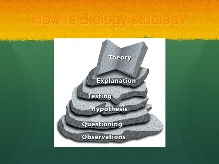 How is Biology studied? Insert F 01 -06 
