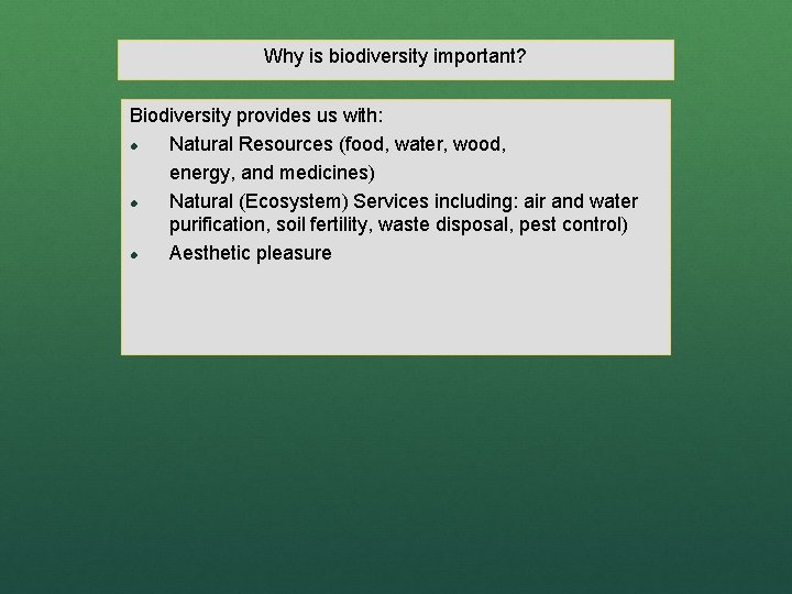 Why is biodiversity important? Biodiversity provides us with: l Natural Resources (food, water, wood,