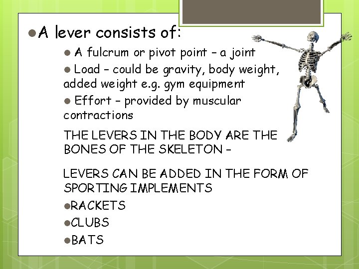 l. A lever consists of: A fulcrum or pivot point – a joint l