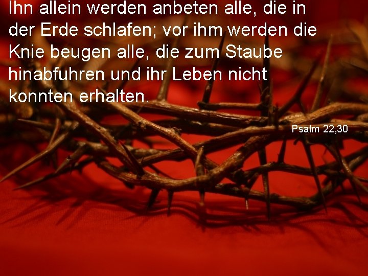 Ihn allein werden anbeten alle, die in der Erde schlafen; vor ihm werden die