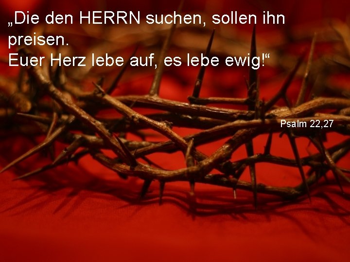 „Die den HERRN suchen, sollen ihn preisen. Euer Herz lebe auf, es lebe ewig!“