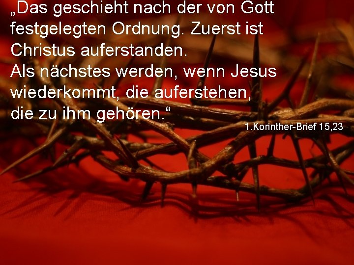 „Das geschieht nach der von Gott festgelegten Ordnung. Zuerst ist Christus auferstanden. Als nächstes