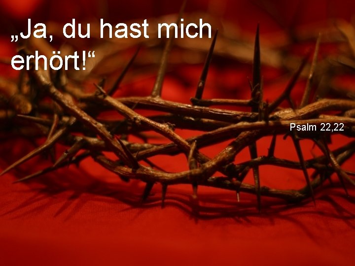 „Ja, du hast mich erhört!“ Psalm 22, 22 