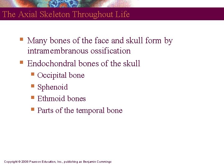 The Axial Skeleton Throughout Life § § Many bones of the face and skull