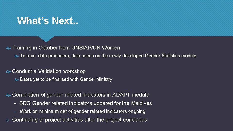 What’s Next. . Training in October from UNSIAP/UN Women To train data producers, data