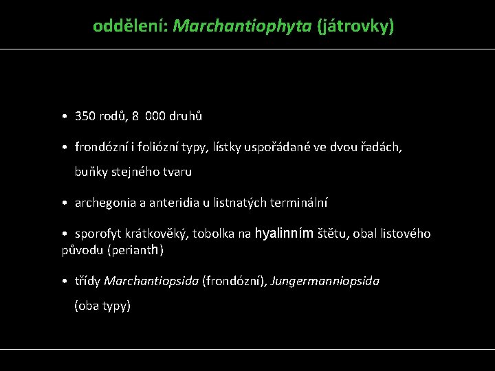 oddělení: Marchantiophyta (játrovky) • 350 rodů, 8 000 druhů • frondózní i foliózní typy,