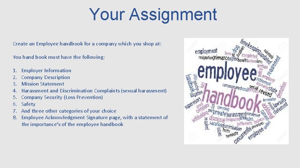 Your Assignment Create an Employee handbook for a company which you shop at: You