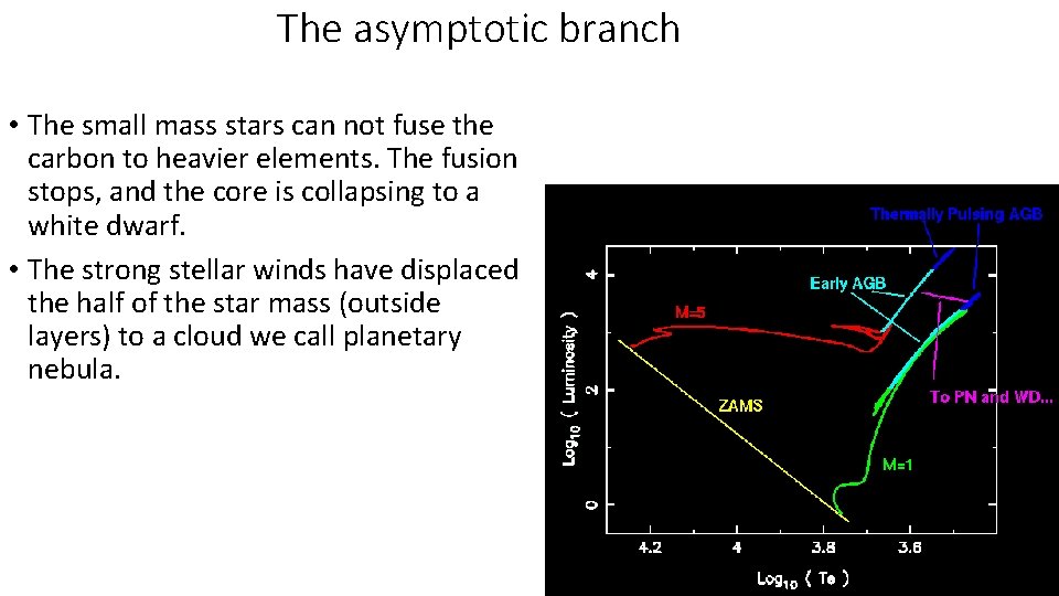 The asymptotic branch • The small mass stars can not fuse the carbon to