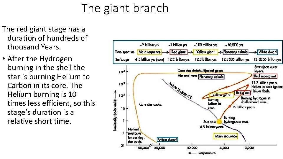 The giant branch The red giant stage has a duration of hundreds of thousand