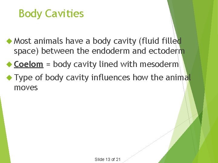 Body Cavities Most animals have a body cavity (fluid filled space) between the endoderm