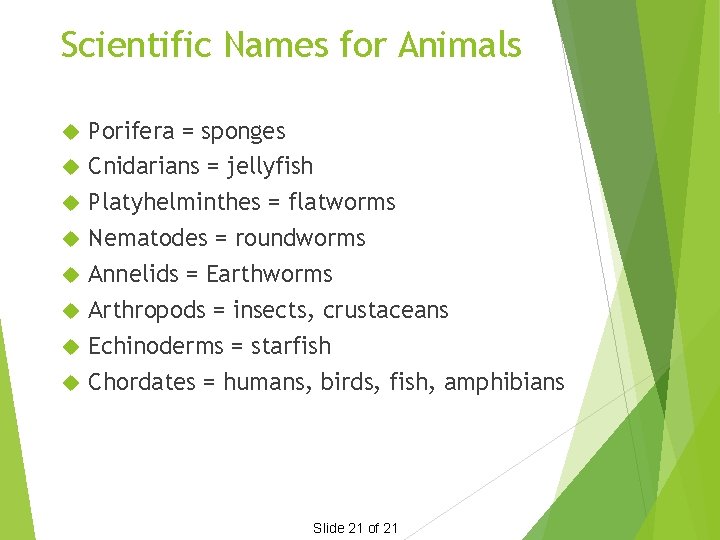 Scientific Names for Animals Porifera = sponges Cnidarians = jellyfish Platyhelminthes = flatworms Nematodes