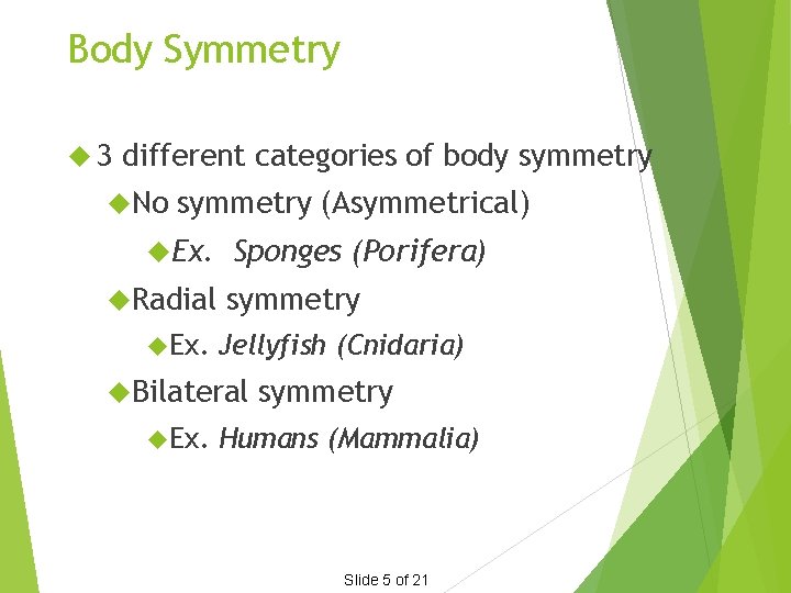 Body Symmetry 3 different categories of body symmetry No symmetry (Asymmetrical) Ex. Radial Ex.