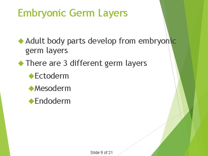 Embryonic Germ Layers Adult body parts develop from embryonic germ layers There are 3